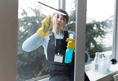 Nettoyage de vitres intérieures et extérieures à Basses